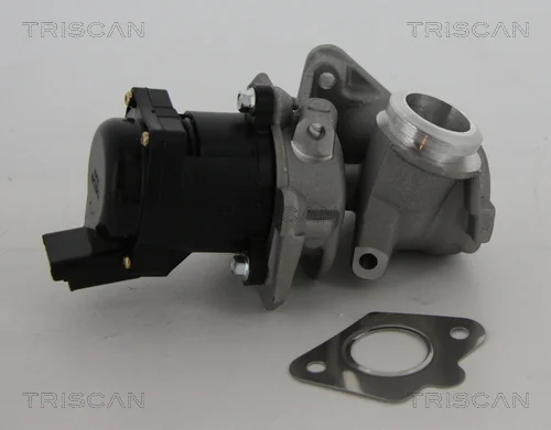 AGR-Ventil TRISCAN 881310010