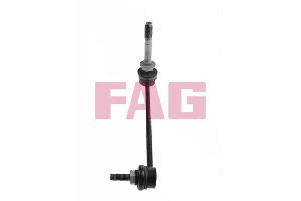 Tyč/vzpěra, stabilizátor Schaeffler FAG 818036110