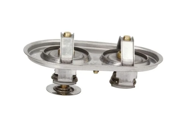 Termostat, chladivo THERMOTEC D2SC009TT