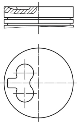 Píst MAHLE 0295501