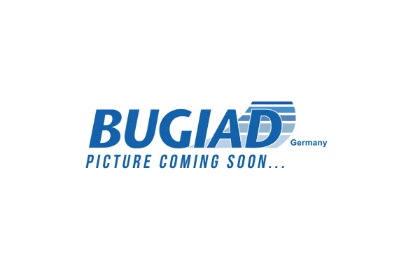 Hadička plnicího vzduchu BUGIAD 82374 – OE 6Q0145828N