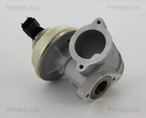 AGR-Ventil TRISCAN 881316102