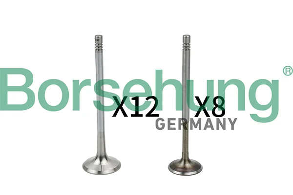 Ventil Borsehung B18635 Ventil Borsehung B18635